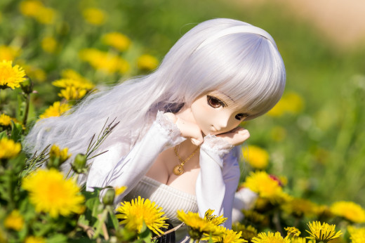 757032 (a): :1920x1275